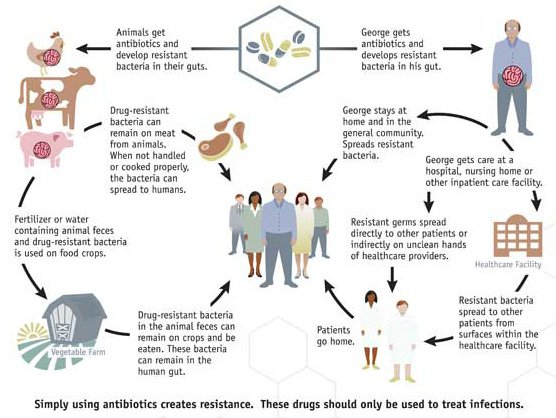 How antibiotic resistance spreads